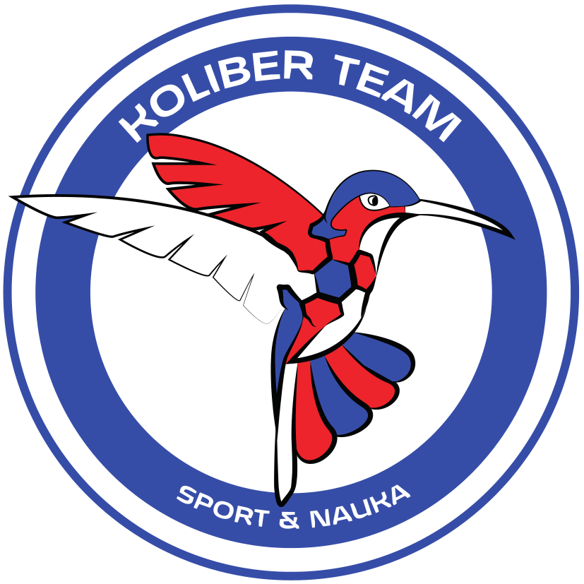 Michalski Maciek - logo